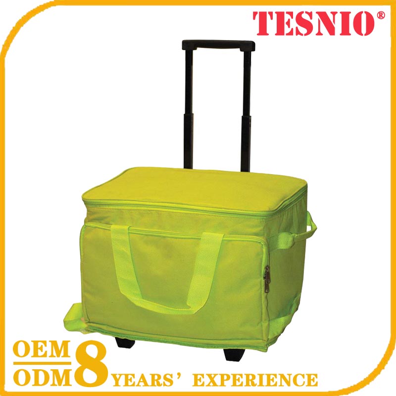 Backpack Manufacturers Usa Bulk Cooler Bag Commercial Cooler Bag TESNIO, DBB076