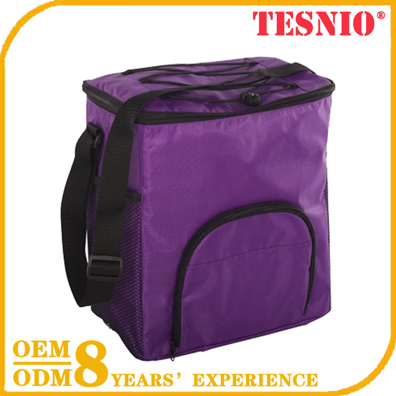 Fabric Whole Foods Cooler Bag Wholesale Lunch Bag Backpack TESNIO, DBB033