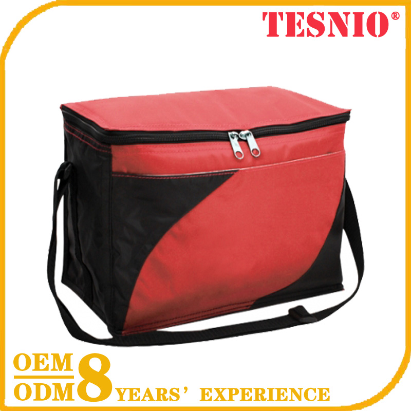 Logo Wholesale Insulated Cooler Bags Non Woven Cooler Bag TESNIO, DBB009