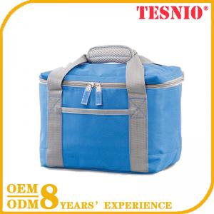 Backpacking Cool Carry Cooler Bag Ice Cream Packaging Bag TESNIO