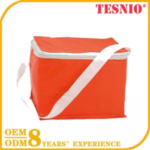 Eco Freezable Lunch Bag Reusable Ice Packs For Cans TESNIO