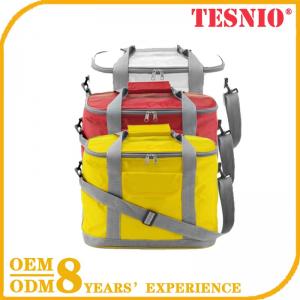 Swiss Reusable Ice Pack Cooler Bag Seat Ice Pack For Hospital TESNIO
